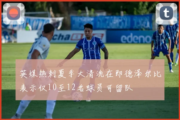 英媒热刺夏季大清洗在即德泽尔比表示仅10至12名球员可留队