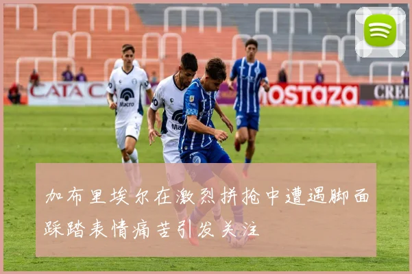 加布里埃尔在激烈拼抢中遭遇脚面踩踏表情痛苦引发关注